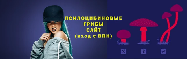 стаф Белоозёрский