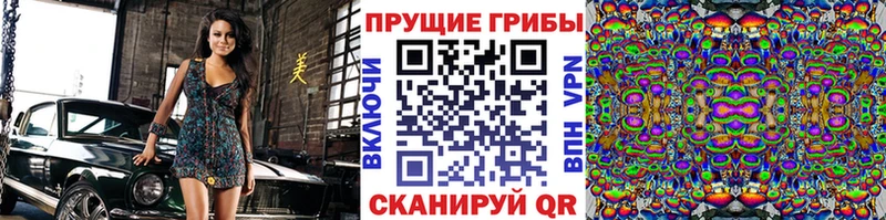 кракен онион  даркнет сайт  Жуков  Псилоцибиновые грибы MAGIC MUSHROOMS 