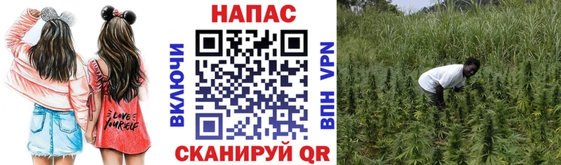 Конопля THC 21%  дарк нет наркотические препараты  Жуков 